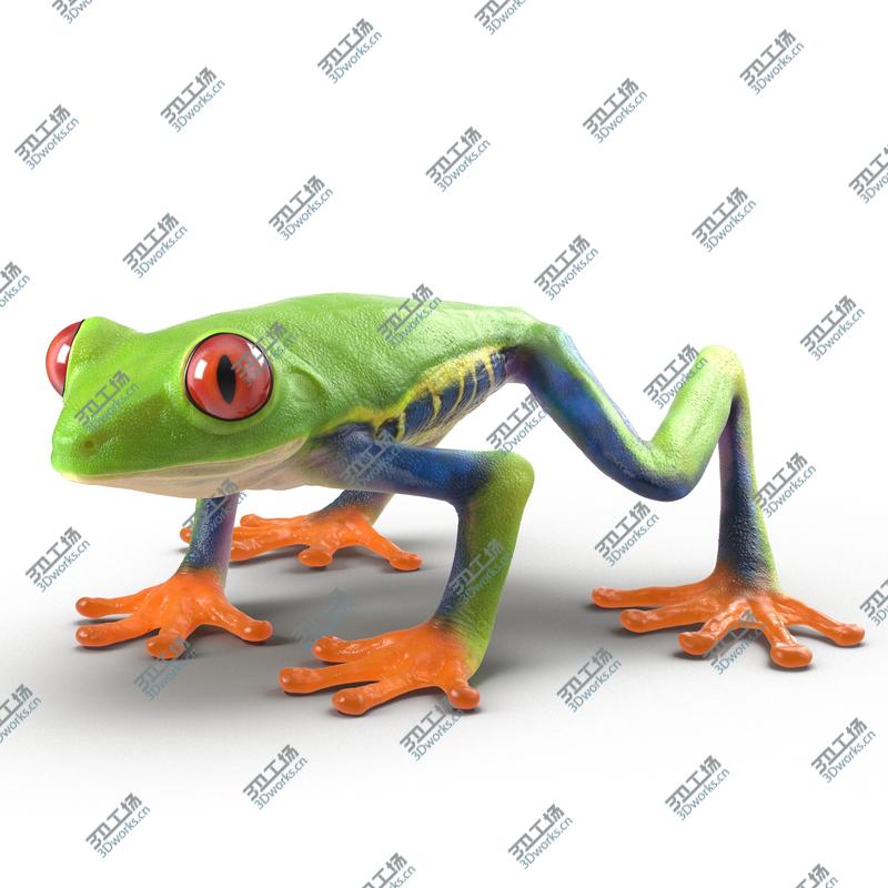 images/goods_img/2021040232/Red Eyed Tree Frog Rigged for Cinema 4D/5.jpg